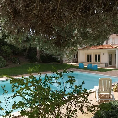 Oasis Pool - D'el Rey Golf *